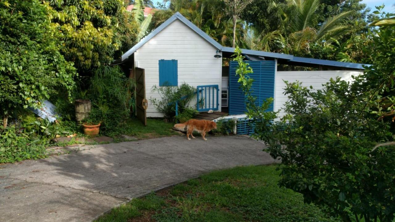Mariposa Villa Sainte-Rose Exterior photo